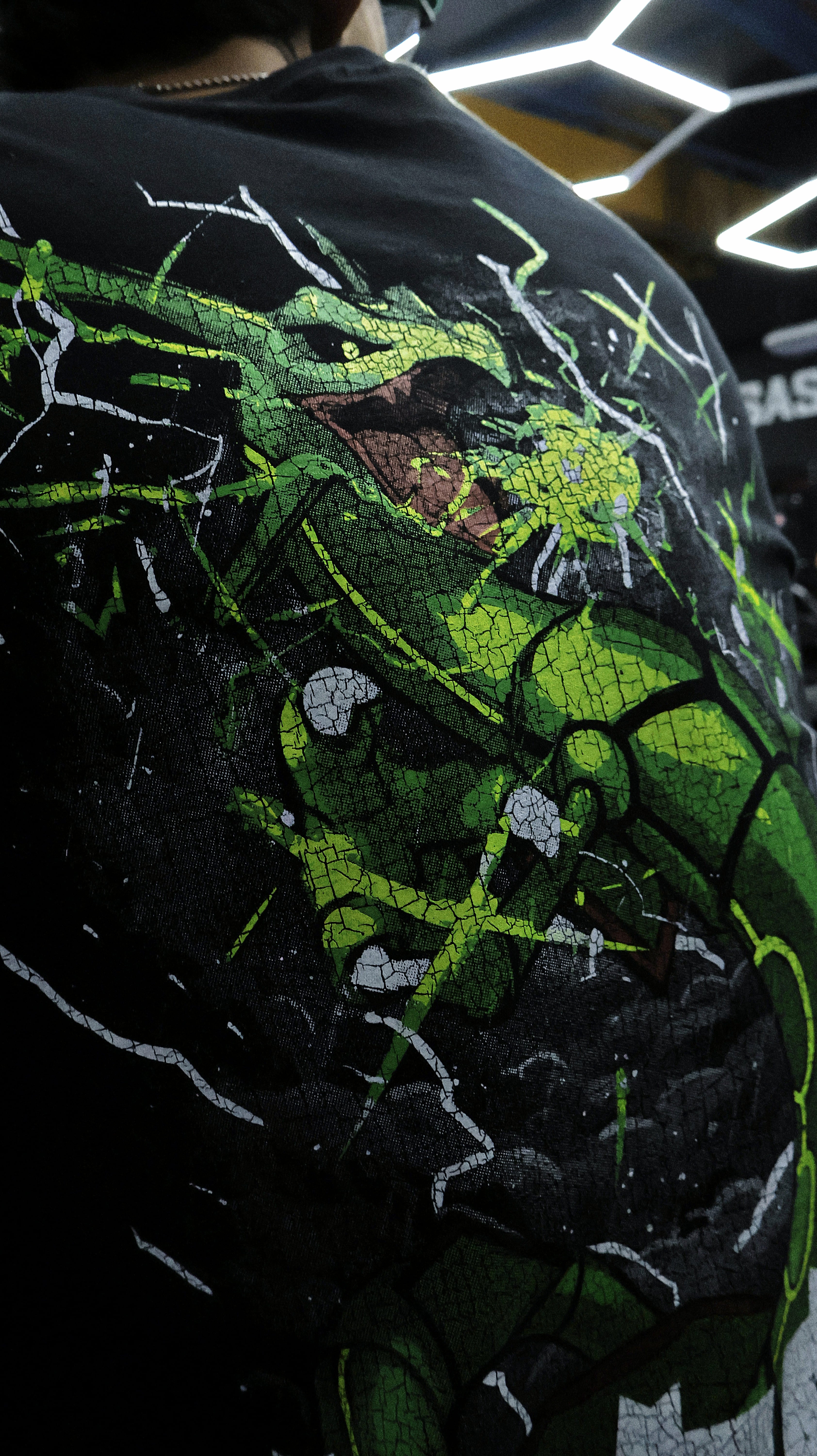RAYQUAZA | POKEMON