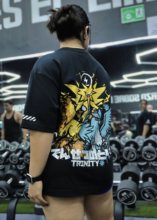 AVES LEGENDARIAS | POKEMON