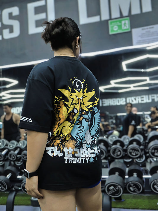 AVES LEGENDARIAS | POKEMON