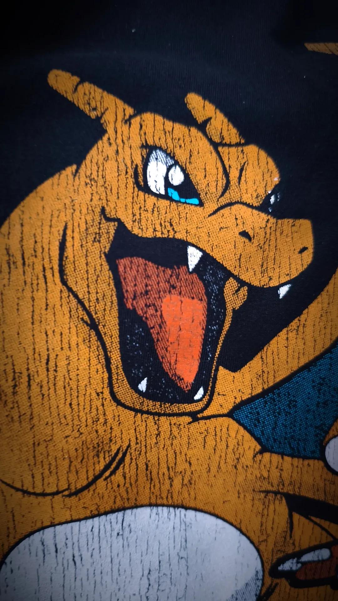 CHARIZARD | POKEMON