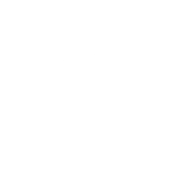 ShurikenMX