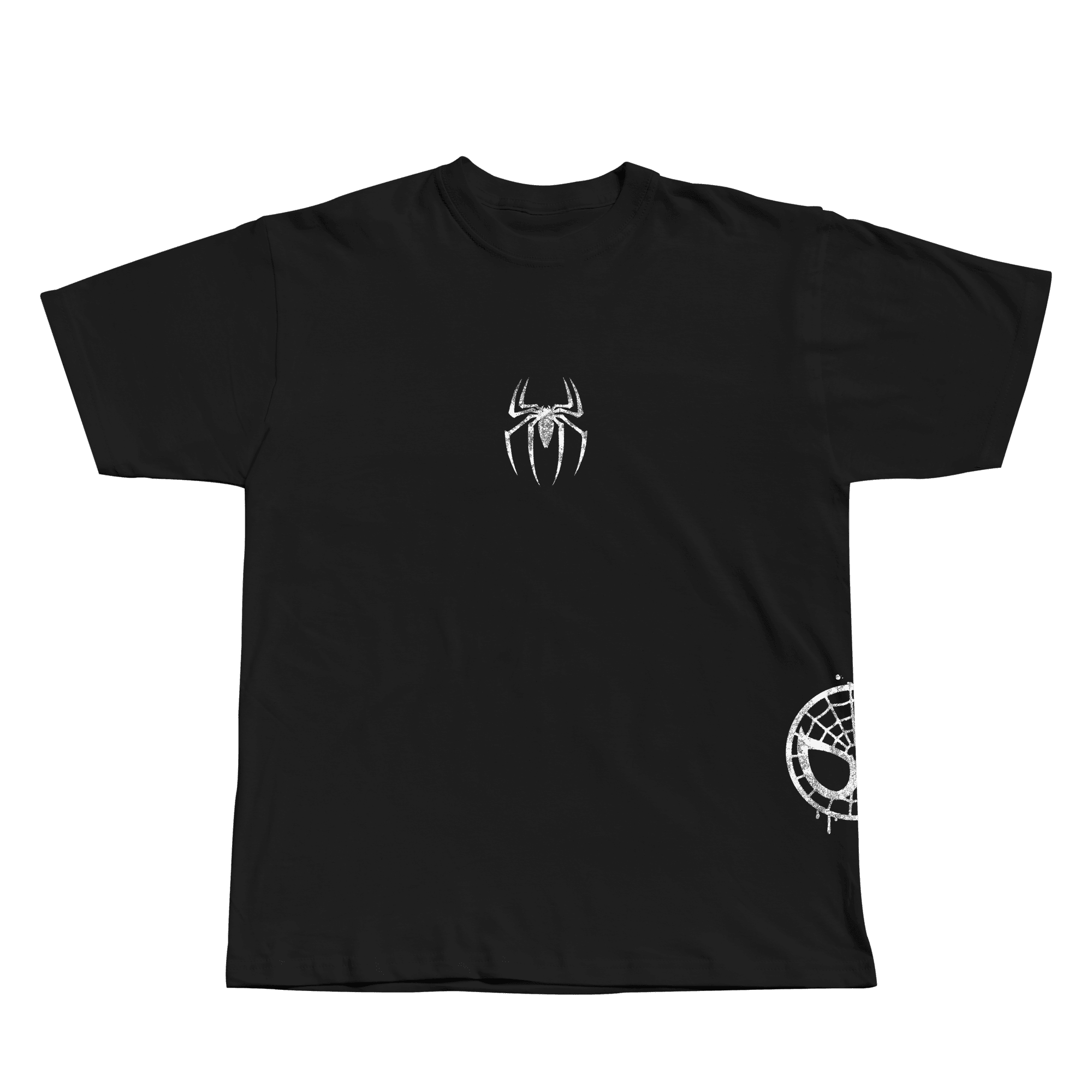 SPIDERMAN | THE AMAZING SPIDERMAN